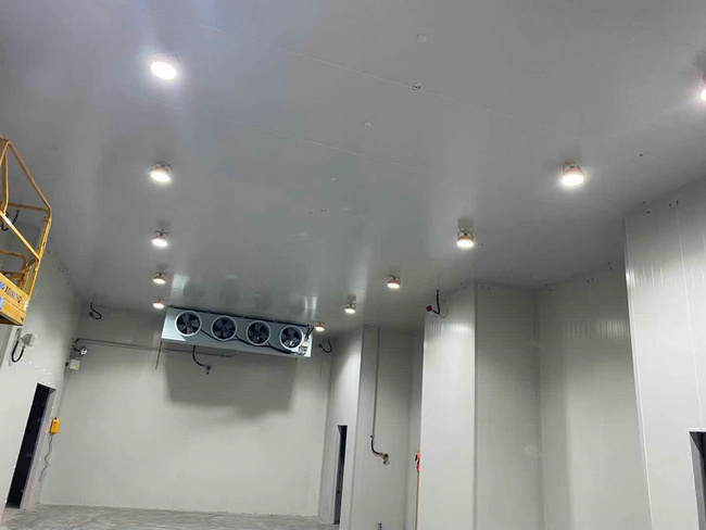 建個存放10噸貨物的冷庫大概需要多少錢？